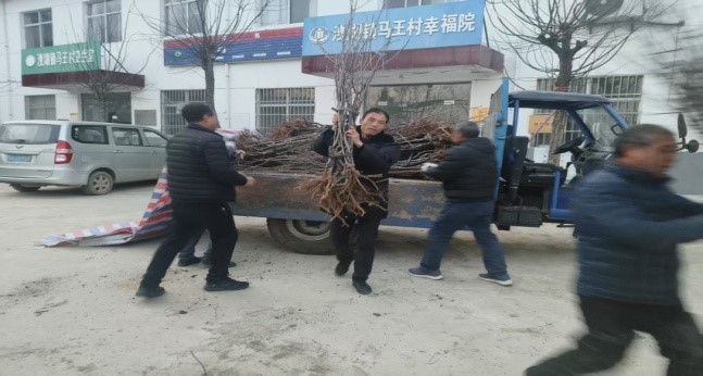 乡村振兴工作动态（第167期）